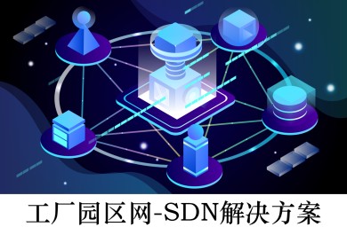 S@^(q)W(wng) -SDN Q